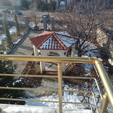 Vila Shameti Villa *
