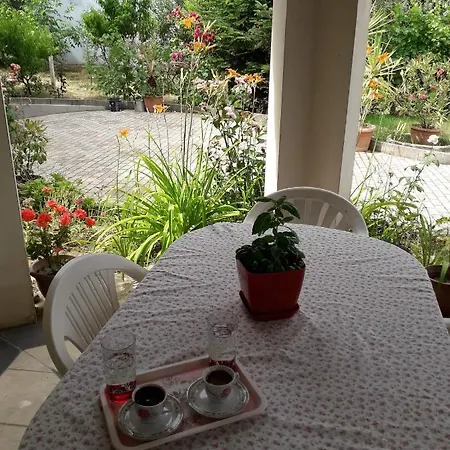 Villa Vila Shameti Korce