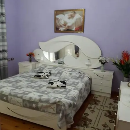 Vila Shameti