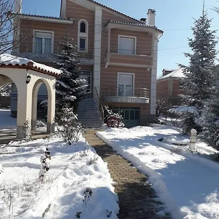 Vila Shameti Villa