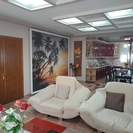 Vila Shameti